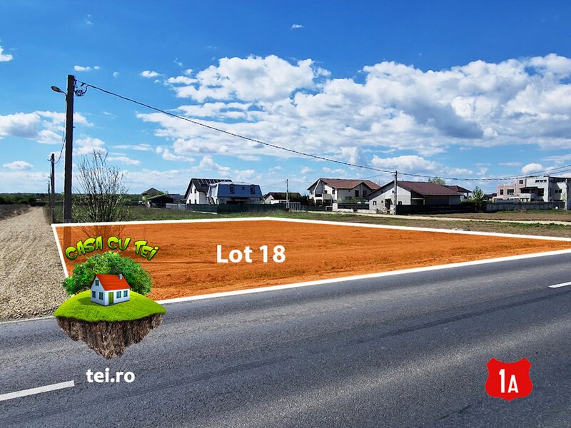 Casa cu Tei, teren in cartier locuit, casa la padure, acces DN1A.