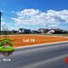 Casa cu Tei, teren in cartier locuit, casa la padure, acces DN1A.